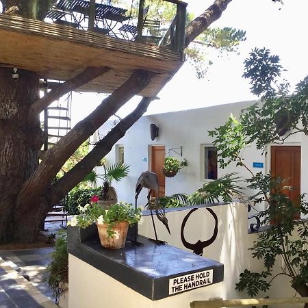 Oceangolf Guest House Noordhoek Exterior photo